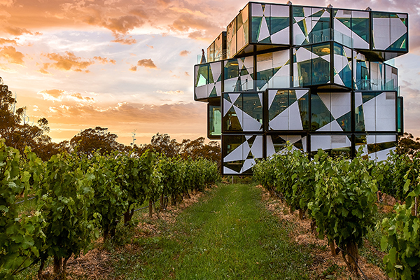 Mailchimp tall header 600 w x 400 h 0005 155664 dArenberg Cube Mandatory Credit South Australian Tourism Commission