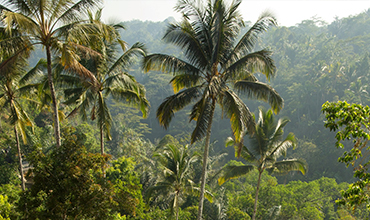 Bali Destination