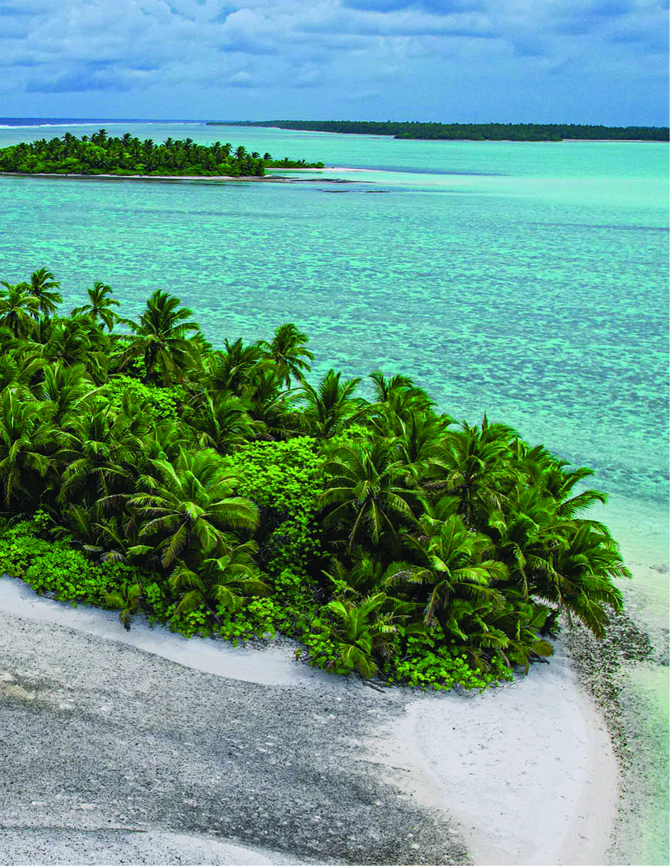 Holiday Packages