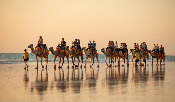 NEW WEBSITE Gallery 720 x 420 Broome Highlights