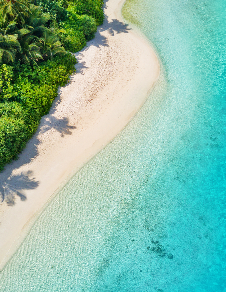 Holiday Packages
