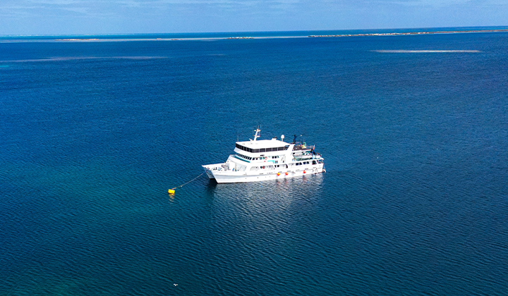 NEW WEBSITE Gallery 720 x 420 Eco Abrolhos