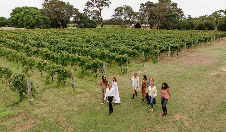 NEW WEBSITE Gallery 720 x 420 Margaret River Vineyards