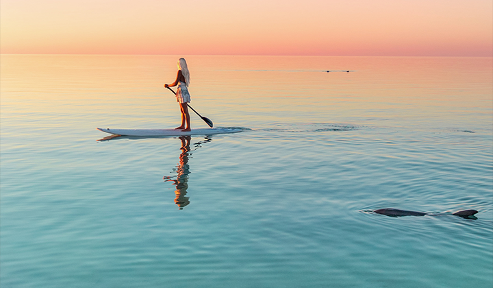 NEW WEBSITE Gallery 720 x 420 Monkey Mia Coral Coast Preview