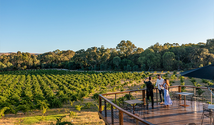 NEW WEBSITE Gallery 720 x 420 St Hugo Barossa Valley